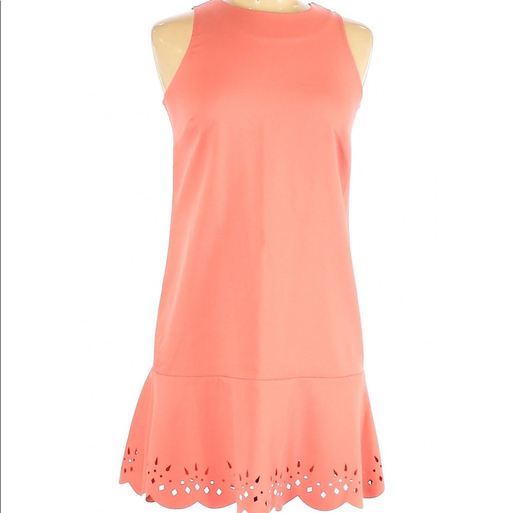 Ann Taylor LOFT dress